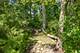8510 W 122nd, Palos Park, IL 60464