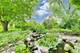 924 Glen Oak, Sleepy Hollow, IL 60118