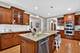 1045 Magnolia, Naperville, IL 60540