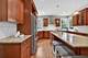 1045 Magnolia, Naperville, IL 60540
