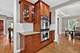 1045 Magnolia, Naperville, IL 60540