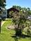 315 Pierce, Aurora, IL 60505