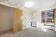 1024 S Spring, La Grange, IL 60525