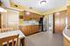 1024 S Spring, La Grange, IL 60525