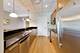 1570 Elmwood Unit 909, Evanston, IL 60201