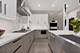828 S Bell, Chicago, IL 60612
