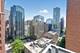 550 N St Clair Unit 1501, Chicago, IL 60611
