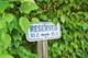5517 E Lake Unit 91-E, Lisle, IL 60532
