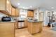 4820 S Lotus, Chicago, IL 60638