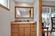 4820 S Lotus, Chicago, IL 60638