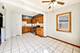 5207 N Lovejoy, Chicago, IL 60630