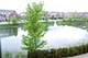 1218 Byrne Unit 1, Vernon Hills, IL 60061