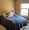 484 W Wood Unit 2, Palatine, IL 60067