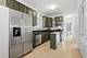 1333 N Bosworth Unit 2, Chicago, IL 60642