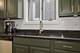 1333 N Bosworth Unit 2, Chicago, IL 60642