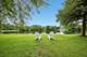 62 Dundee, Barrington, IL 60010