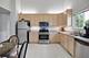 1253 Water Stone, Wauconda, IL 60084
