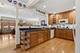 708 S Vine, Park Ridge, IL 60068