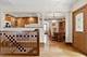 708 S Vine, Park Ridge, IL 60068