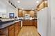708 S Vine, Park Ridge, IL 60068