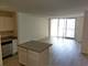 545 N Dearborn Unit 2102, Chicago, IL 60654