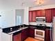 1629 S Prairie Unit 707, Chicago, IL 60616