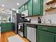 3951 N St Louis Unit 1, Chicago, IL 60618