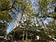 5757 N Sheridan Unit 17C, Chicago, IL 60660