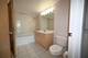 1845 S Michigan Unit 1402, Chicago, IL 60616