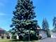 8332 W Winona, Norridge, IL 60706