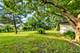 1209 Colorado, Joliet, IL 60435