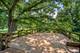 6N373 Oakwood, St. Charles, IL 60175