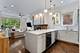 1131 W Addison Unit 2, Chicago, IL 60613