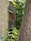 927 W Cullerton, Chicago, IL 60608