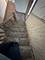 927 W Cullerton, Chicago, IL 60608