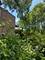 927 W Cullerton, Chicago, IL 60608