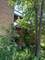 927 W Cullerton, Chicago, IL 60608