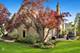 501 Wedgewood, Hinsdale, IL 60521