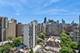 1445 N State Unit 1806, Chicago, IL 60610