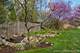 N385 Silverleaf, Wheaton, IL 60187