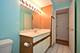 5351 N East River Unit 203, Chicago, IL 60656