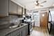 17 Garfield, Oak Park, IL 60304