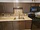 1085 Knoll Unit 207, Hoffman Estates, IL 60194