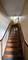 3823 N Bernard, Chicago, IL 60618