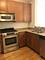 450 E Waterside Unit 407, Chicago, IL 60601
