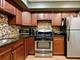 333 S East Unit 306, Oak Park, IL 60302
