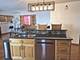 1496 Calendula, Romeoville, IL 60446