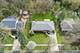 629 N Wren, Palatine, IL 60067