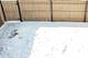 6418 S Drexel, Chicago, IL 60637