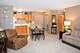 801 N Mclean Unit 258, Elgin, IL 60123